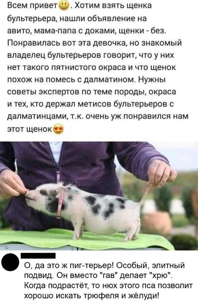 Так себе картинки 05.09.21