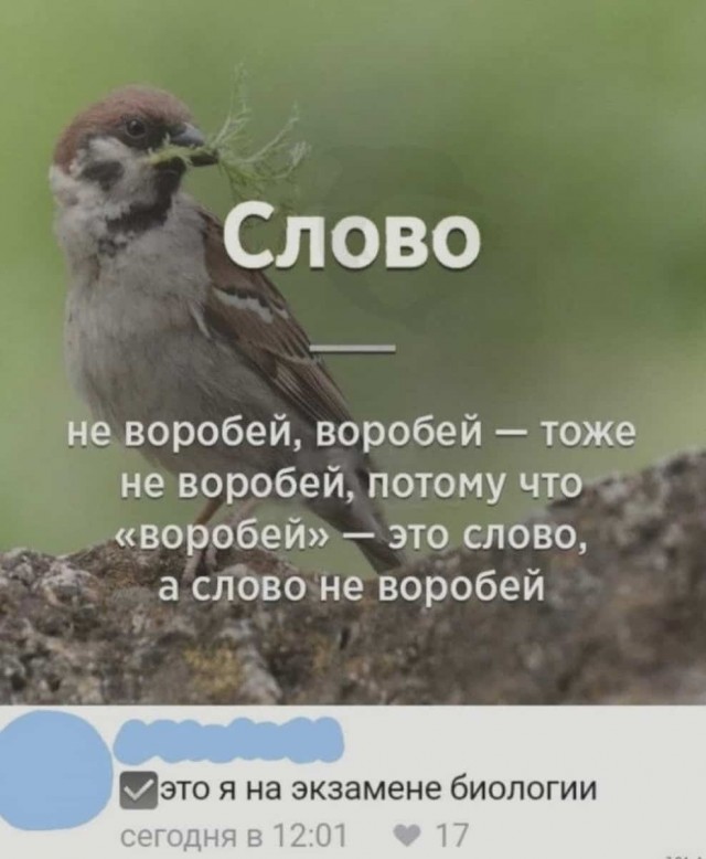 Баянисто-небаянистый юмор 10.10.21