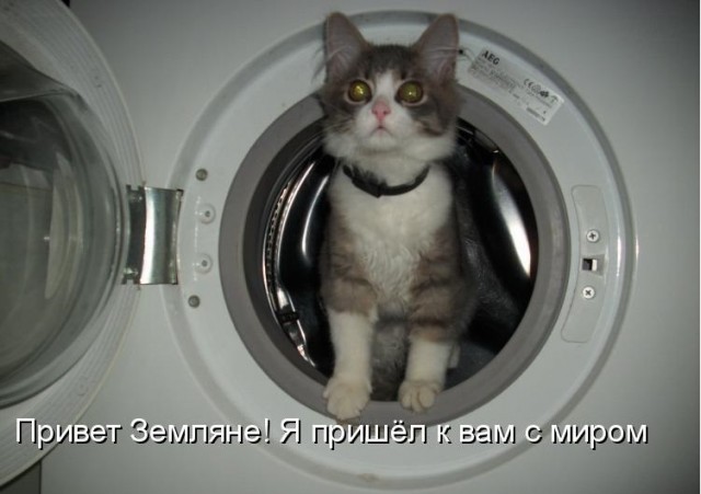 Почему столько разводов? Ответ только один и он вам не понравится