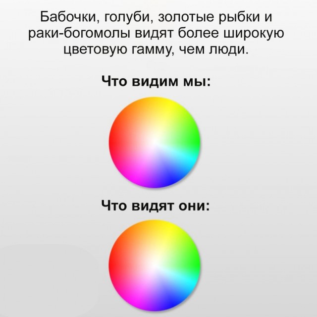 Так себе картинки 08.11.21