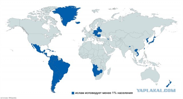 Толпа мигрантов-подростков избила нескольких русских парней и девушку