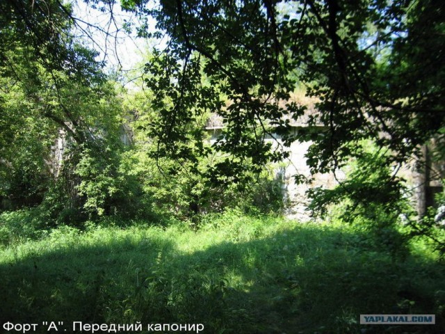 Форты Бреста