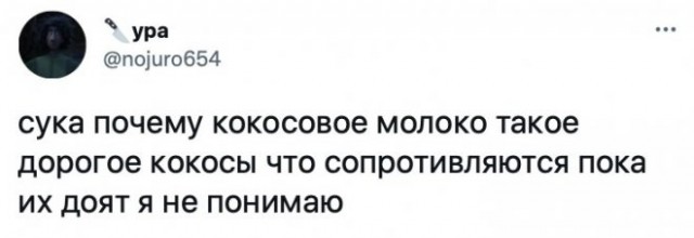 Картинки и мемы, всем прекрасных выходных