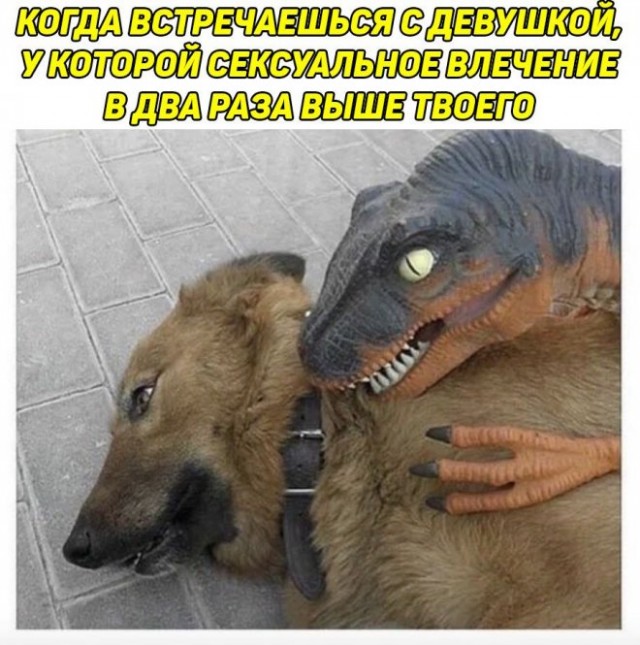 Картинки и мемы для настроения 31.03.2022