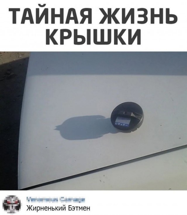 Картинки и мемы, выходные продолжаются