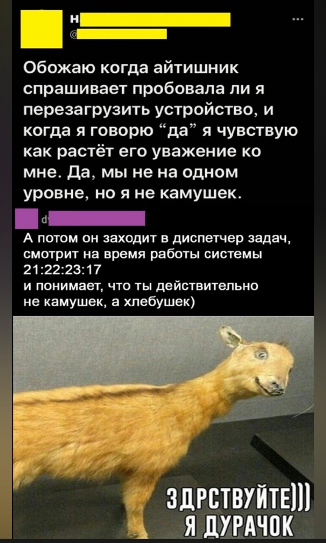Ушла жена