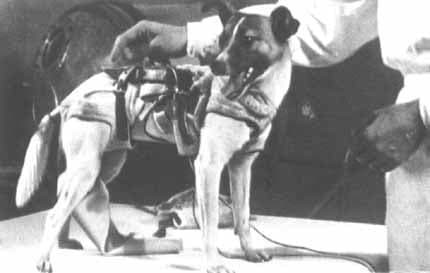 Интересности