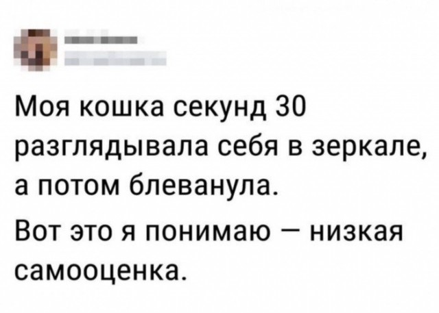 Картинки с надписями и всякие жизненные фразы