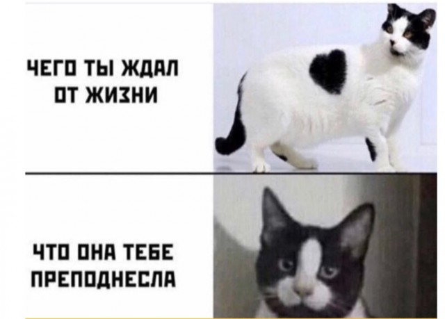Должна ли жена иметь приданое?