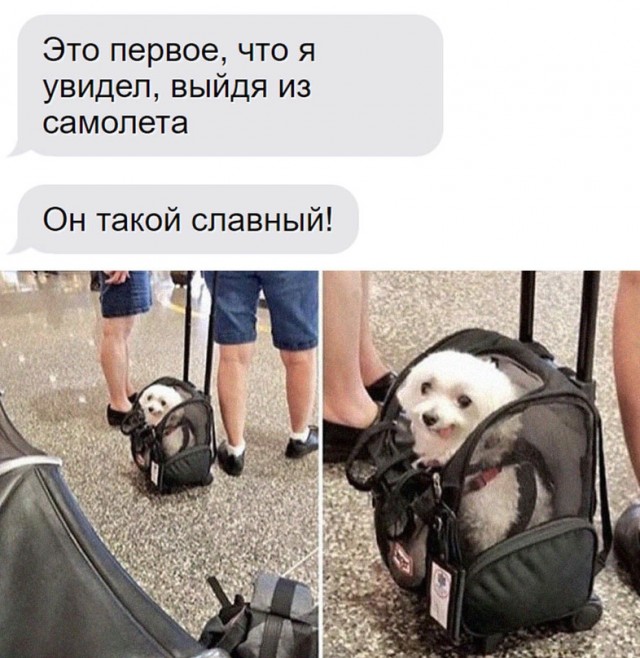 Немного картинок."Колбасный ветер". Август