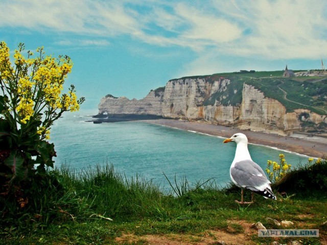И целого мира мало!