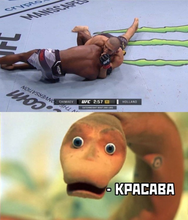 Картинки и мемы, всем хороших выходных