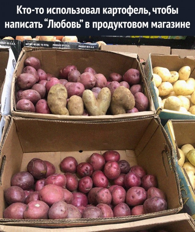 Картинки и мемы для настроения - 21