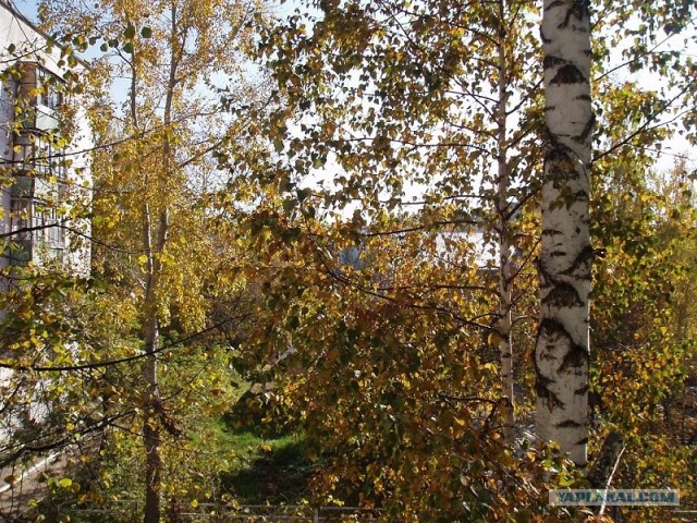 Изменения природы
