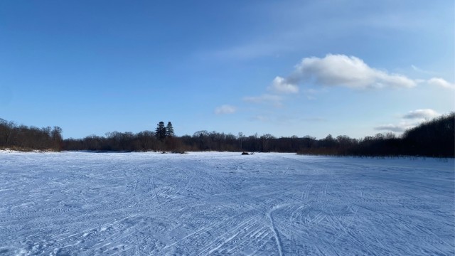 Праздники