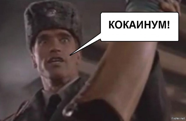 В дежурную часть ГУВД Владивостока с проверкой пришел Арнольд Шварценеггер