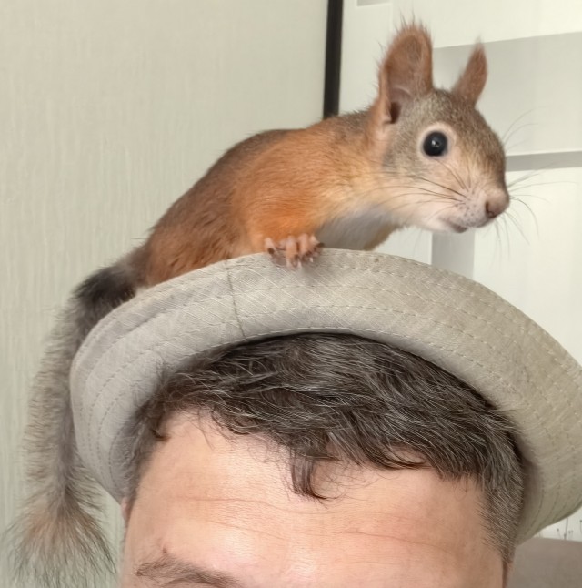 А у меня сегодня утро началось не с кофе..