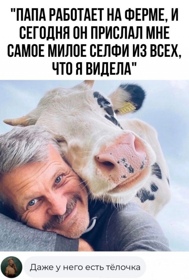 Так себе картинки 27.09.2023