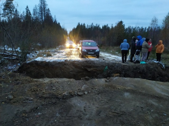 В Ленобласти туристы поехали погулять в лес, а вернуться не смогли — единственную дорогу кто-то перекопал