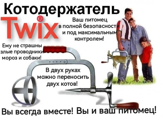 Бастрыкин после гибели кота Твикса потребовал провести проверку по факту жестокого обращения с животным и наказать виновных