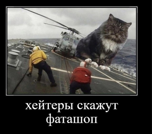 Ставь лайк