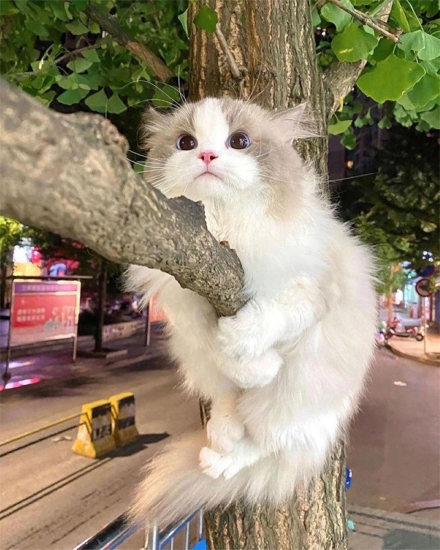 ФотоВинегрет