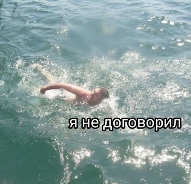 Вышел, поругался, сел