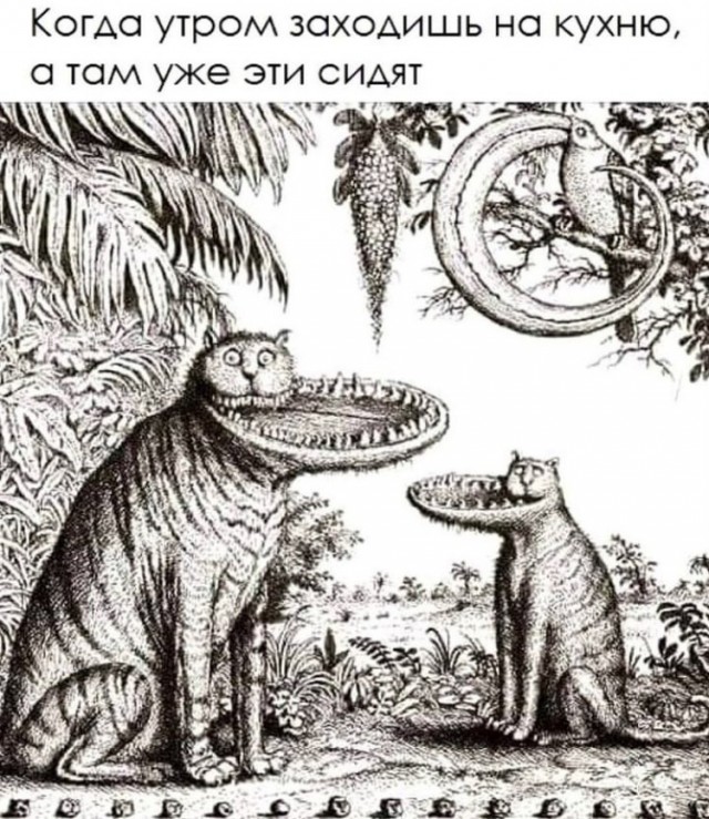 Завалялось тут случайно немного забавных картинок
