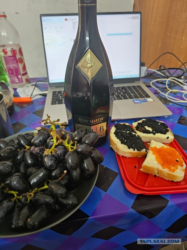 «Как я про… лето». Читаем рассказы