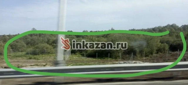 На платной трассе М12 Москва-Казань лось убил водителя
