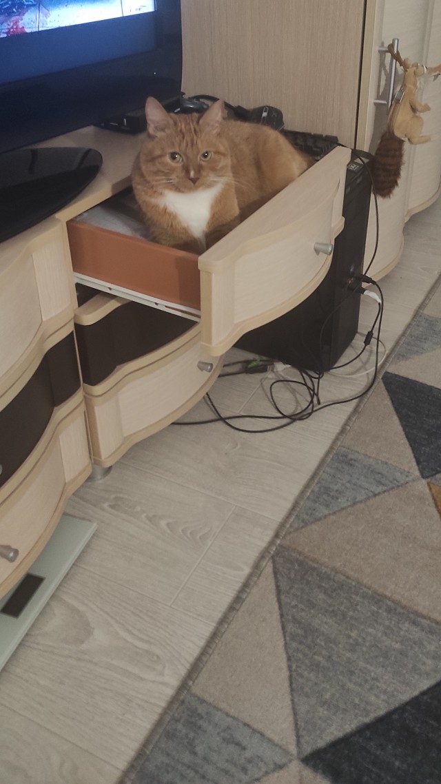 Коробочки наше фсё