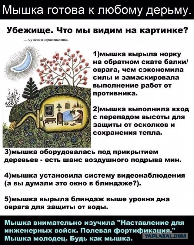 Всего понемногу. От 21.11.2024.