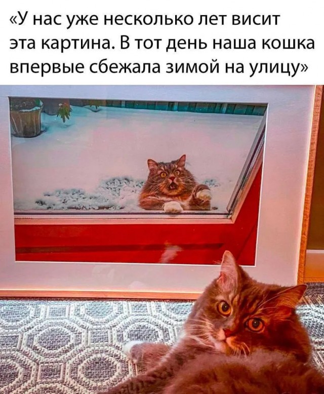 Это была ошибка