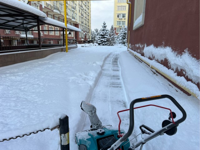 В Питере снова снег...