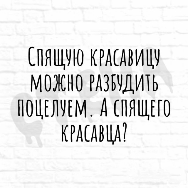 Немного забавных картинок от 22.12.24