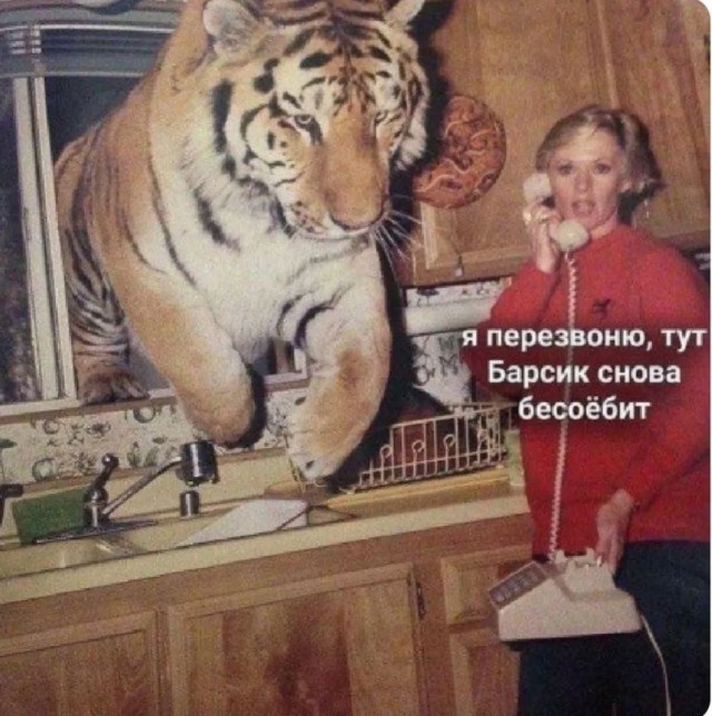 Завалялось тут случайно немного забавных картинок