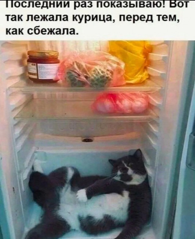 Так себе картинки 10.03.25