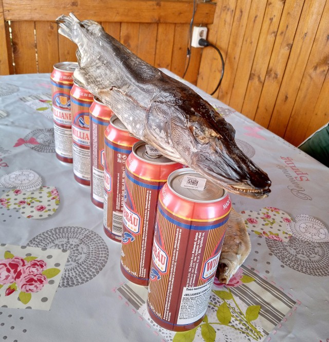 Лето! Детство! Каникулы!