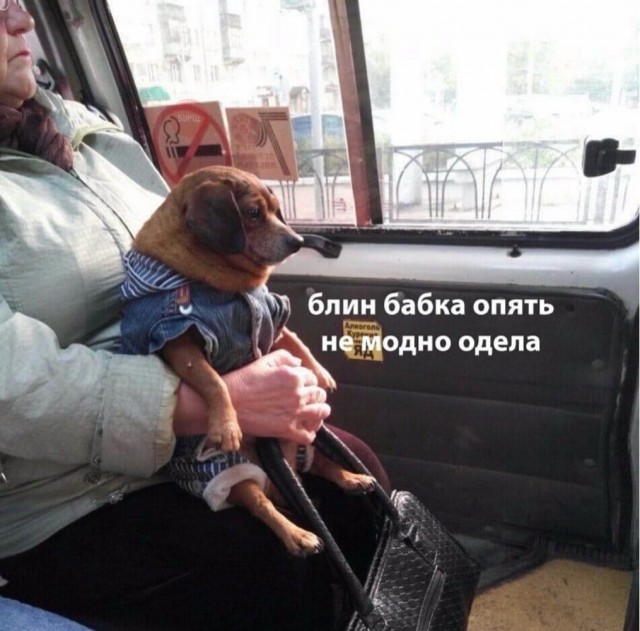 Веселое настроение в картинках (03.08.2025)