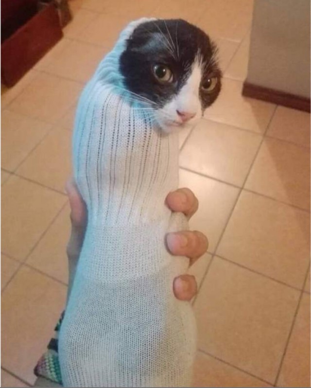 Ку-ку