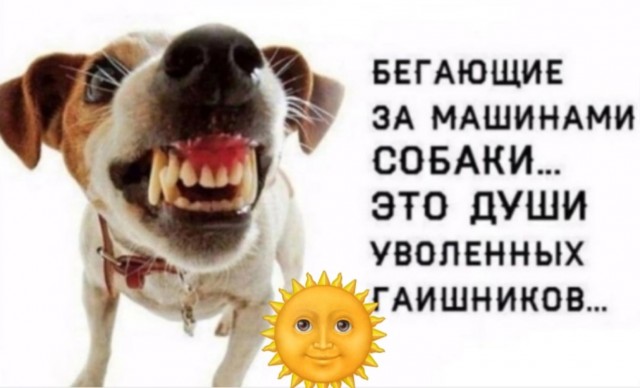 Картинки для деградации 53 (разной степени свежести)