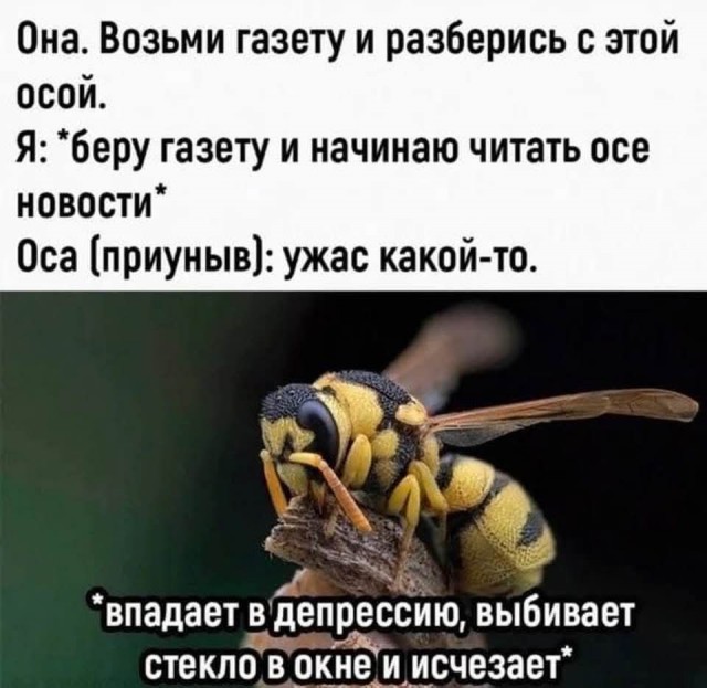 Картинки для деградации 61 (разной степени свежести)
