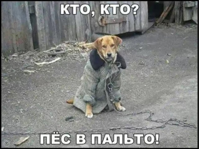 Картинки 15 октября