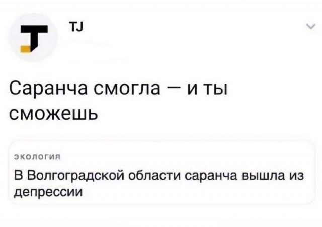 Так себе картинки 15.10.25