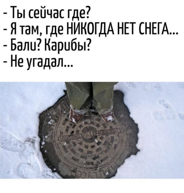Веселые картинки в пятницу (14.11)