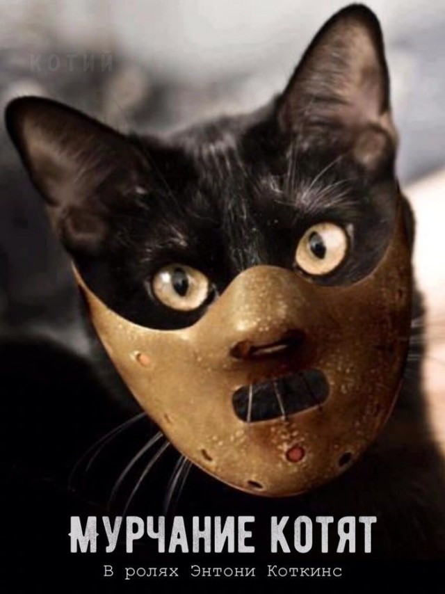 Прикольные и просто красивые картинки 18.11.2025