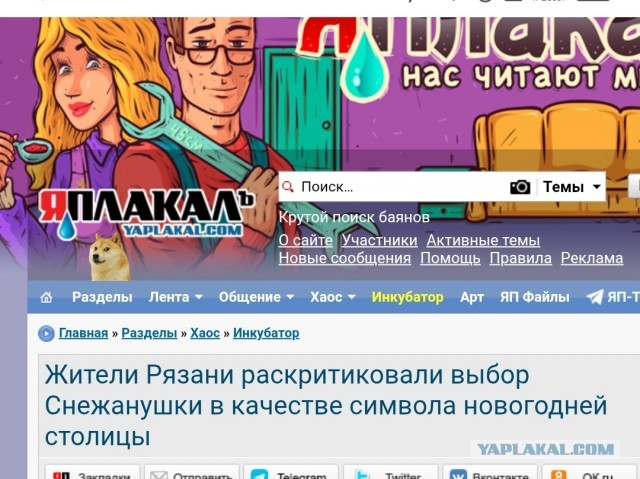 В рязанский интернет внедрят систему «противодействия угрозам»