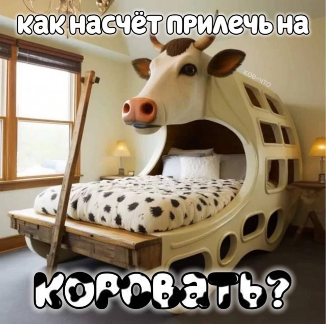 Прикольные и просто красивые картинки 02.12.2025