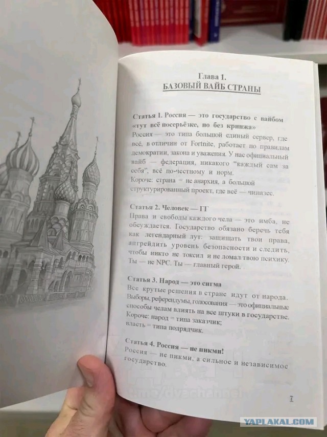 Конституцию для зумеров обнаружили в Читай-городе