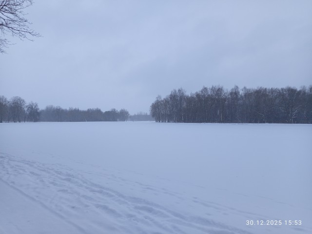 С наступающим!!